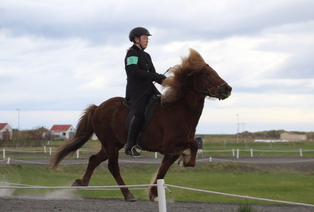 Ester Þóra Viðarsdóttir á Ariel frá Garðabæ