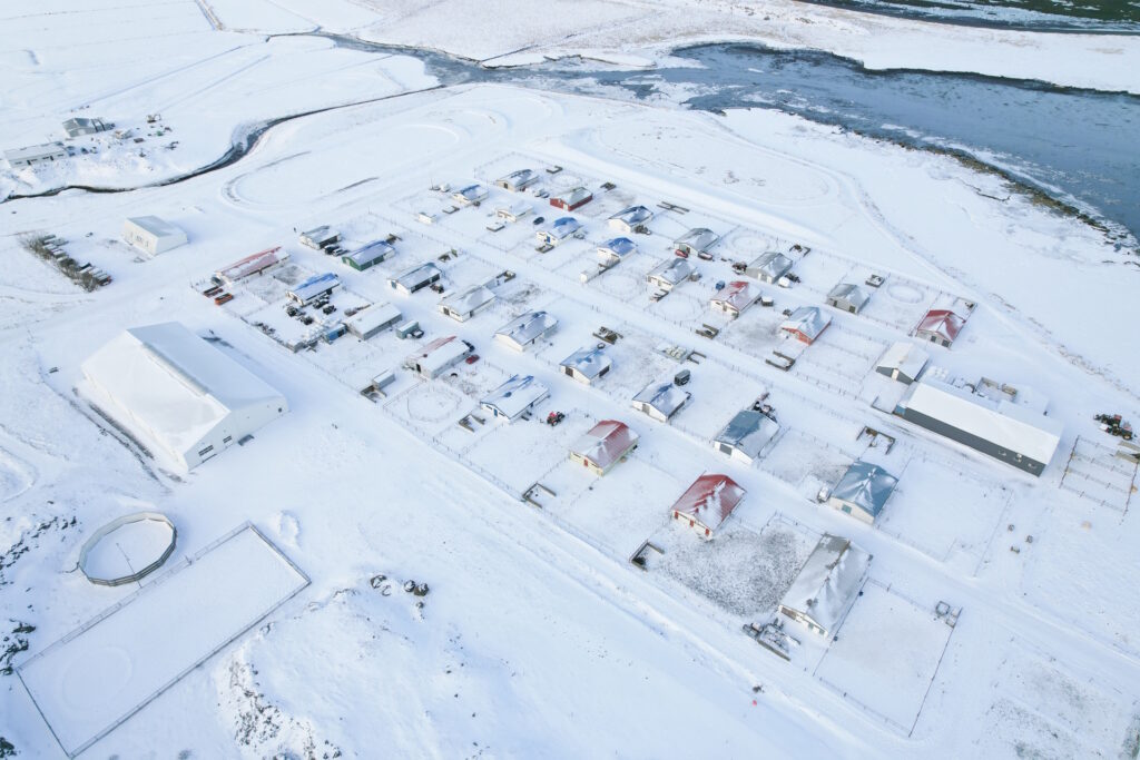 Ljósmynd — Hestamennska